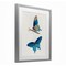 Stupell Industries Blue Butterflies Pair Framed Print Under Glass, design by Arlington Prints